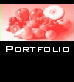 Pascoe Computer Services Portfolio
